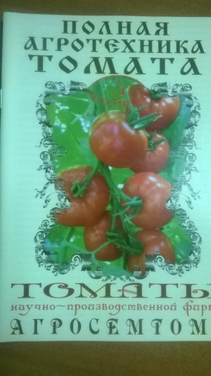 Полная агротехника томата